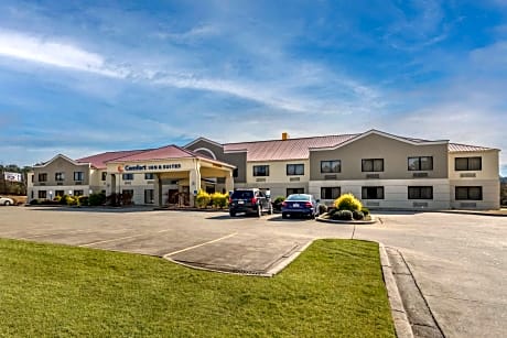 Comfort Inn & Suites Leeds I-20