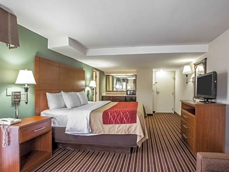 1 Bedroom King Suite