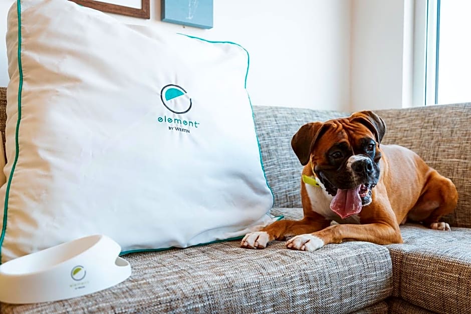 Element Sacramento Airport - photo 3