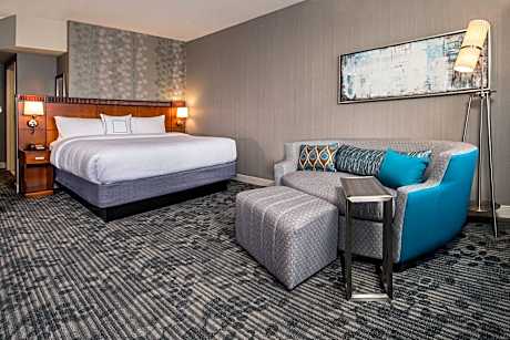 Lakeview Allergy-Friendly, Pure (R) Wellness Guest room, 1 King, Sofa bed, Lake view, High floor