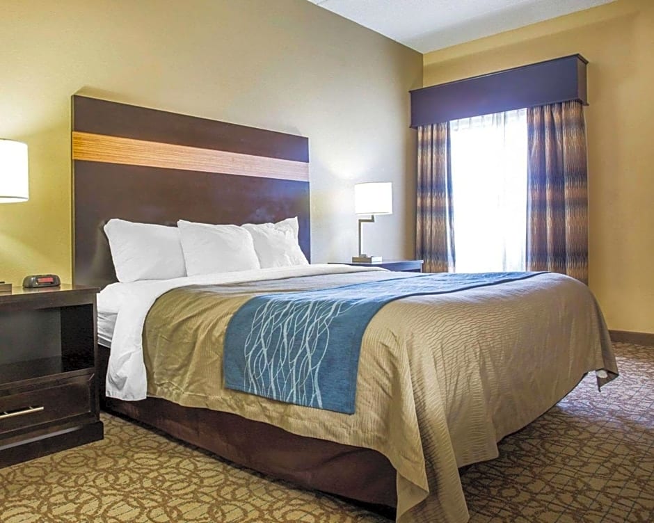 Comfort Inn & Suites At Stone Mountain