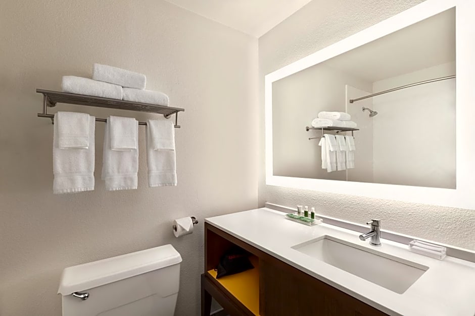 Holiday Inn Houston Intercontinental Airport