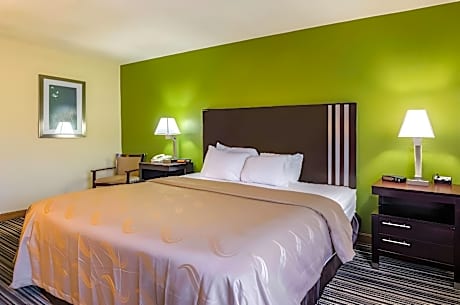 1 King Bed, Nonsmoking, Accessible