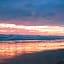 Sand Dollar Condominiums