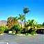 Palm Tropics Motel