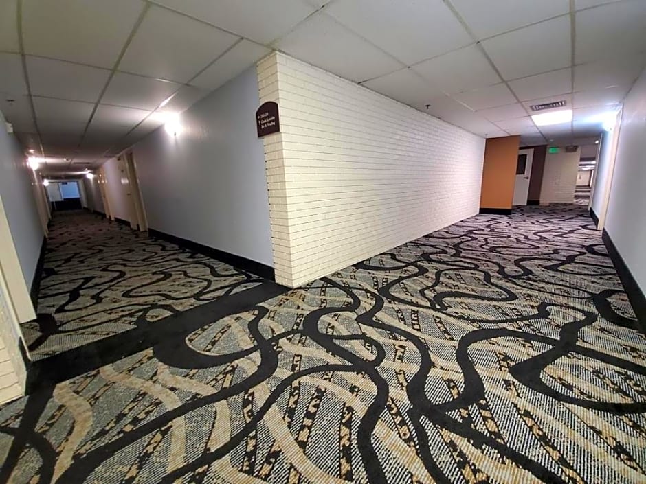 C3 Hotel