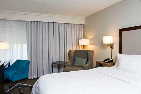 1 King Bed Nonsmoking
