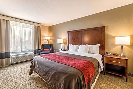 1 King Bed Nonsmoking Accessible