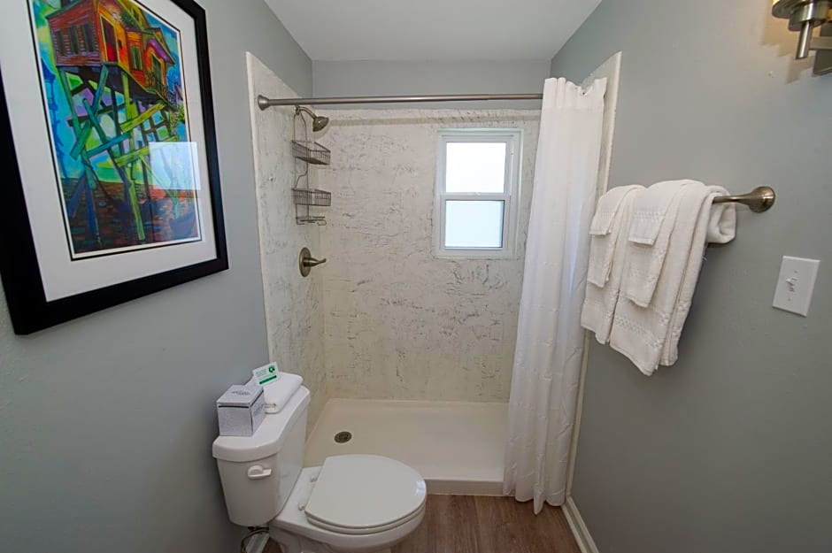 Frenchmen Orleans at 519, Ascend Hotel Collection