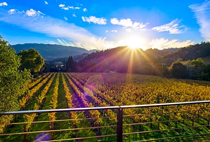 Las Alcobas, a Luxury Collection, Napa Valley