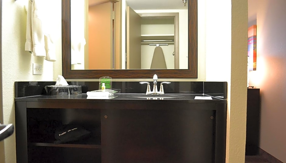 Holiday Inn Houston S - Nrg Area - Med Ctr