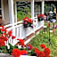 Whiteface Farm Adirondack Bed and Breakfast