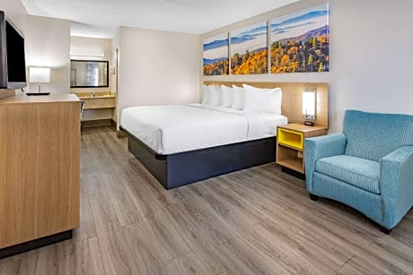 1 King Bed Deluxe Room Smoking