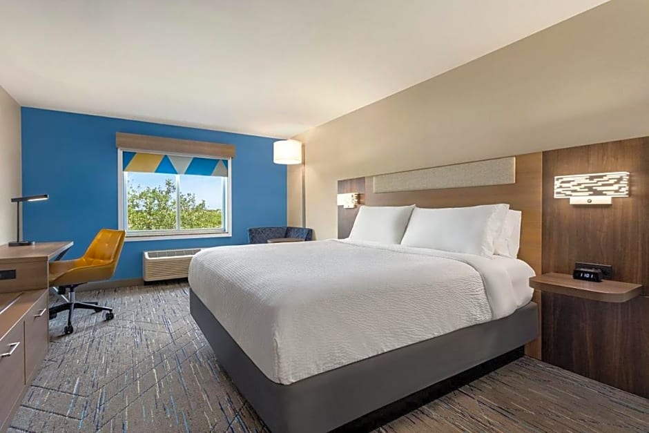 Holiday Inn Express Hotel & Suites Latham