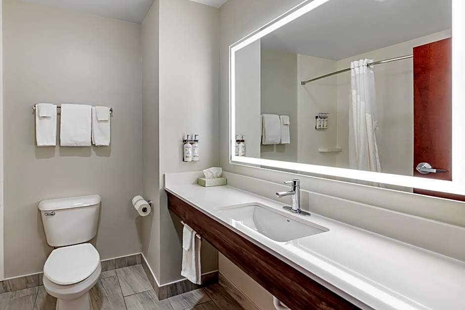 Holiday Inn Express White House