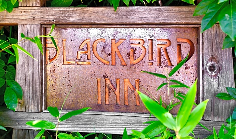 Blackbird Inn