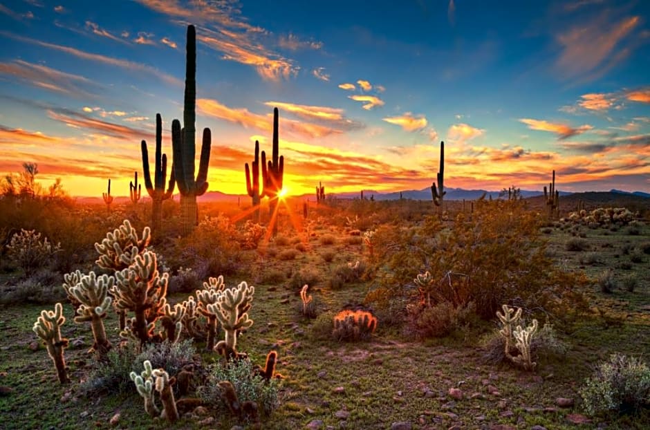 Holiday Inn Express Hotel & Suites Scottsdale - Old Town