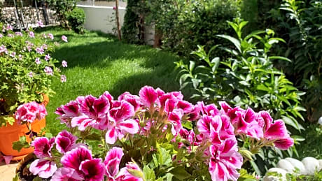 Vila Renato Ksamil - Alojamientos en KSAMIL