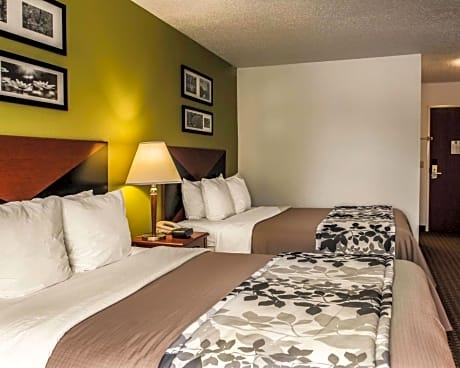 2 Queen Beds, Nonsmoking