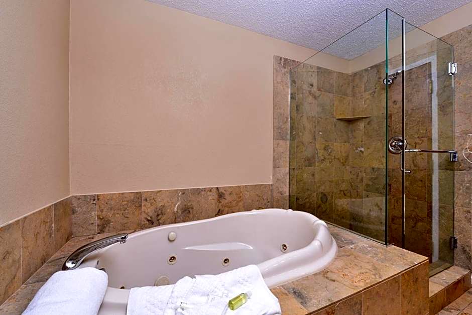 TownePlace Suites by Marriott Detroit Warren