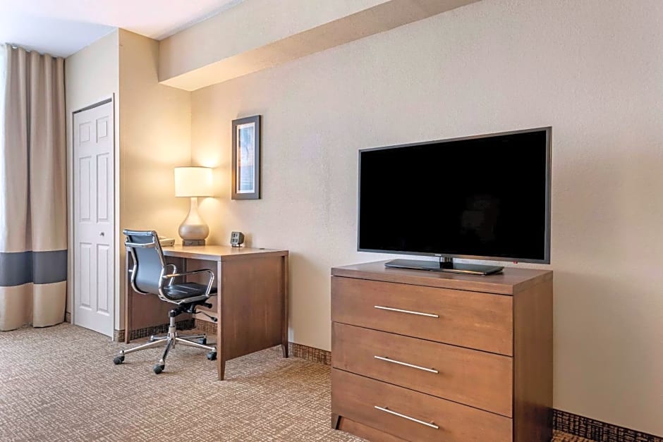 Comfort Suites Maingate East At Old Town