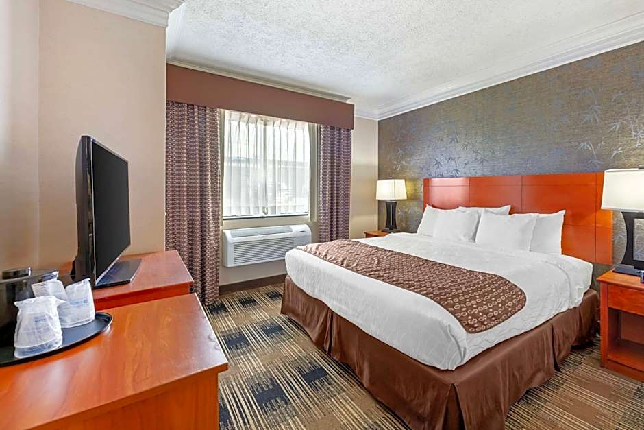 Best Western The Inn At Rochester Airport