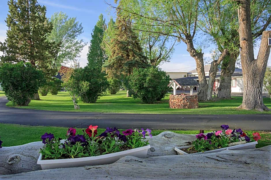 Silver Maple Inn