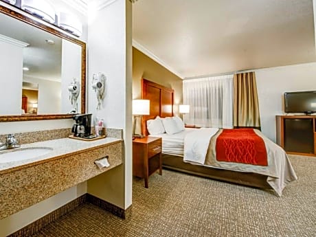 1 King Bed, Suite, Nonsmoking
