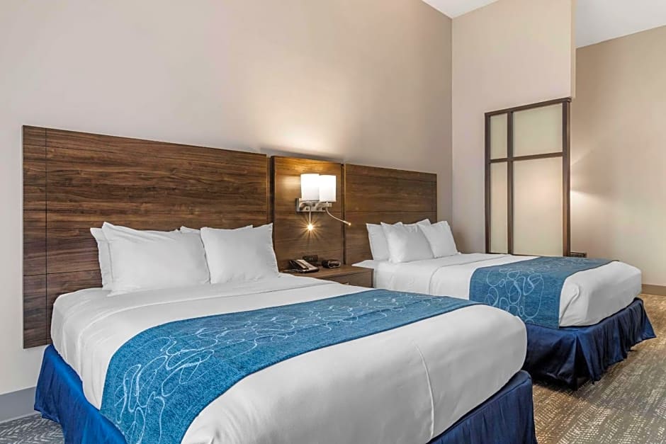 Comfort Suites McDonough Atlanta South