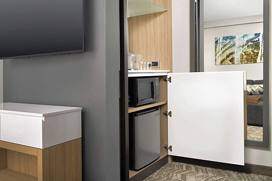 SpringHill Suites by Marriott Atlanta Perimeter Center