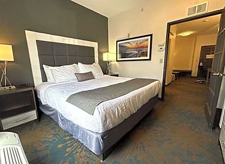 Suite-2 Queen Beds Non-Smoking Sep Bedroom Sofabed Wet Bar Microwave Fridge Shower Full Breakfast