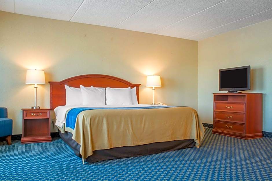 Comfort Inn West Rochester
