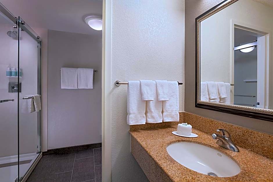 Courtyard by Marriott Dallas Arlington/Entertainment District