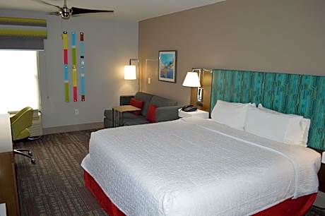 Suite-1 King Bed Non-Smoking Sofabed Wet Bar Microwave Fridge Wi-Fi Walk In Shower Full Breakfast