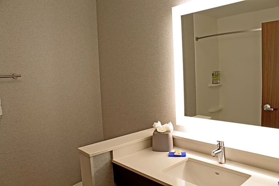 Holiday Inn Express & Suites St. Louise South I-55