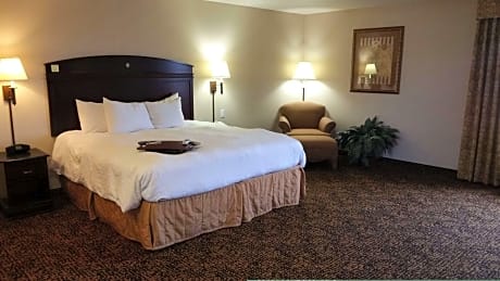 1 King Bed Studio Suite Nonsmoking