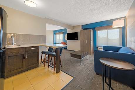 1 King One Bedroom Suite