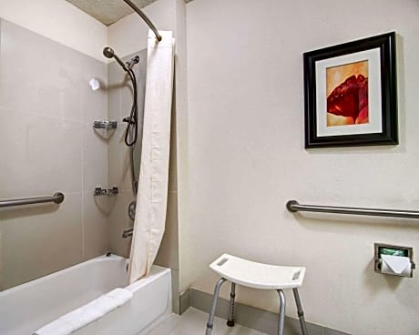 King Suite - Accessible/Non-Smoking