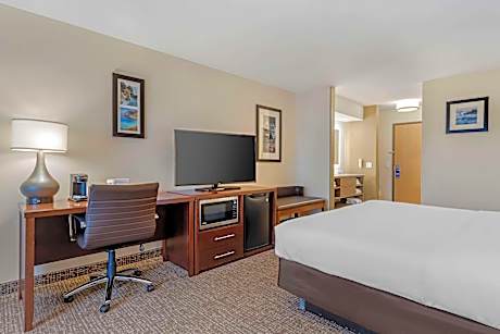 1 King Bed, Nonsmoking