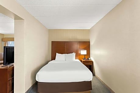 1 Queen Bed, Suite, Nonsmoking