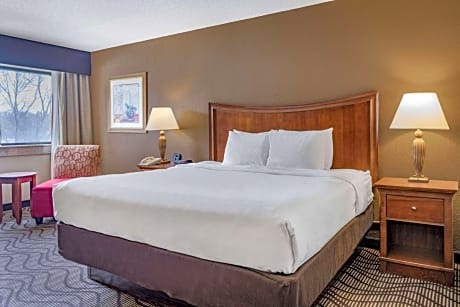 1 King Bed Non-Smoking