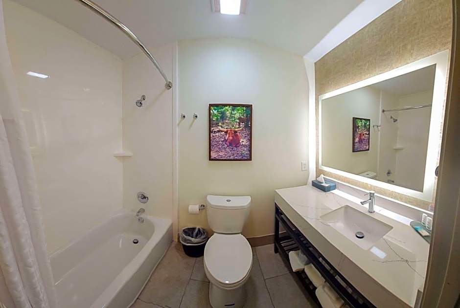 La Quinta Inn & Suites by Wyndham Dallas Mesquite