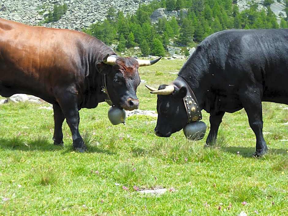 Hotel Garni Jägerhof