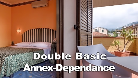 Basic Room in Dependance Annex