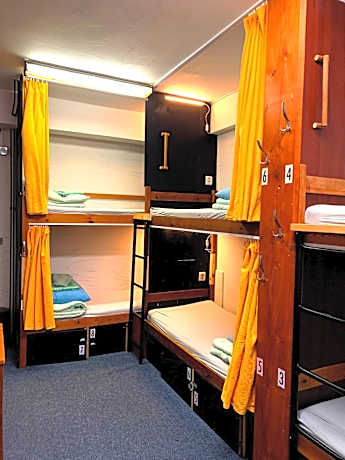 Single Bed in Mixed Dormitory Room