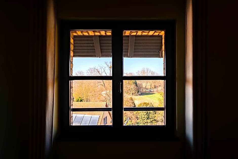 Le Moulin De La Wantzenau - Strasbourg Nord