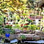 Dinah's Garden Hotel