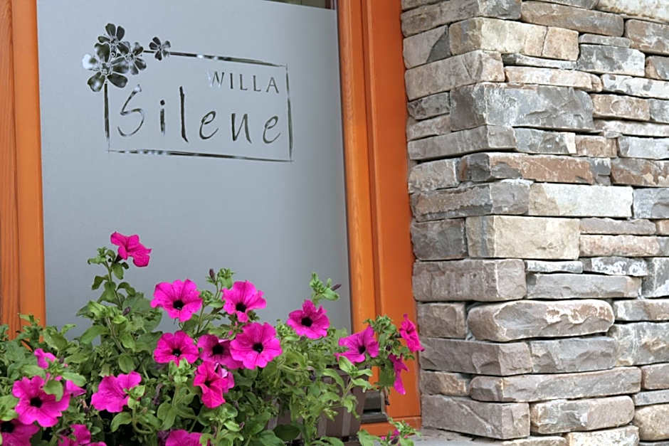 Willa Silene - góralska muzyka na żywo, blisko Term i wyciągów narciarskich