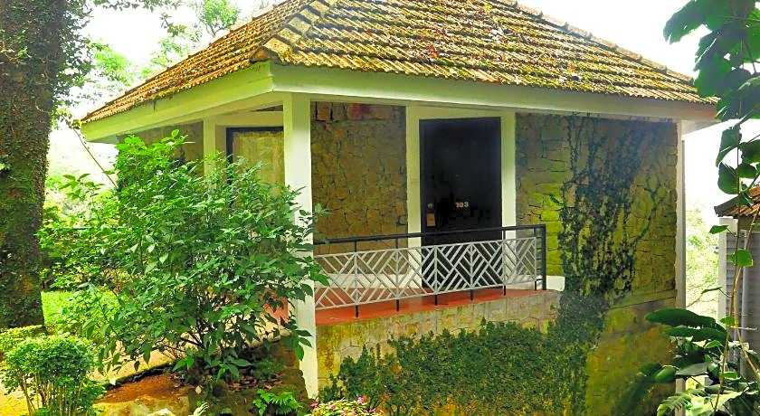 The Tall Trees Munnar