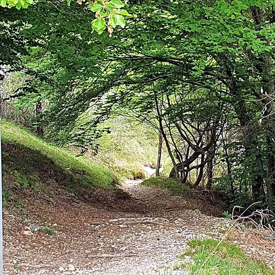 Hotel La Fenice e Sole